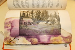 Mold on book