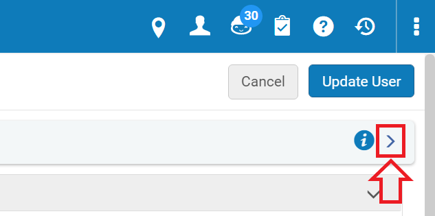 The arrow next to the stylized i and underneath the update user button, highlighted