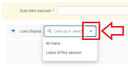 An image of the Loan Display drop down menu with the drop down arrow highlighted