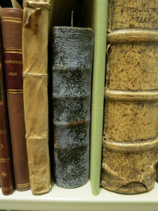 Efflorescence on book spine
